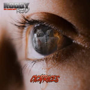 Listen to Cicatrices song with lyrics from Roddy Rod da LoBo BoY