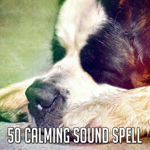 50 Calming Sound Spell