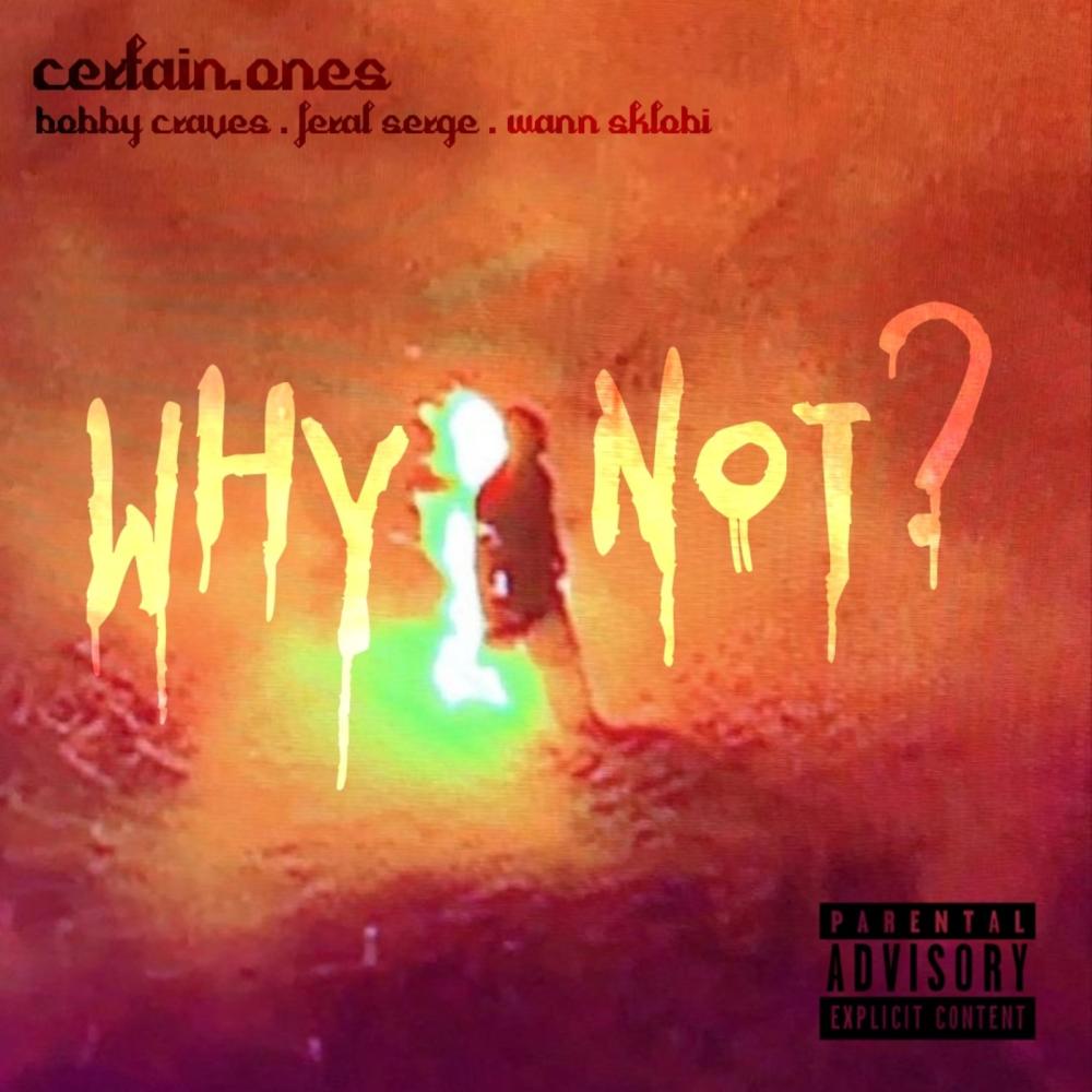 Why Not? (feat. Bobby Craves, Feral Serge & Wann Sklobi) (Explicit)