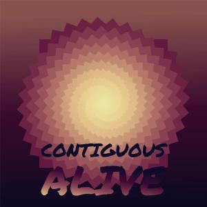 Album Contiguous Alive from Various