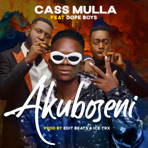 收听Cass Mulla的Akuboseni歌词歌曲