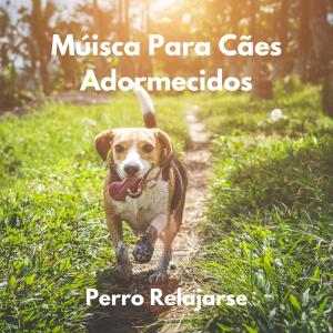 Música Para Cães Adormecidos的專輯Perro Relajarse