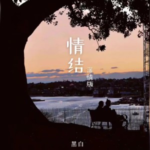 Album 情结 (深情版) from 黑白