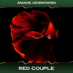 Dengarkan lagu Red Couple (Danny Dovans Tech Mix, 24 Bit Remastered) nyanyian Amadej Borkowski dengan lirik