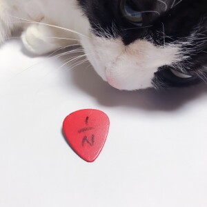 Dengarkan Sweetbitter Sunset (Remaster) lagu dari 엔분의일 dengan lirik