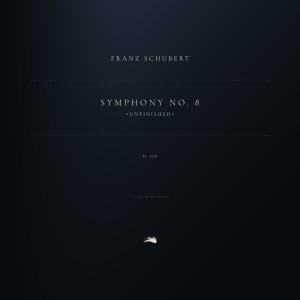 Franz Seraphicus Peter Schubert的专辑Symphony No. 8 in B Minor "Unfinished", D. 759: 1. Allegro moderato