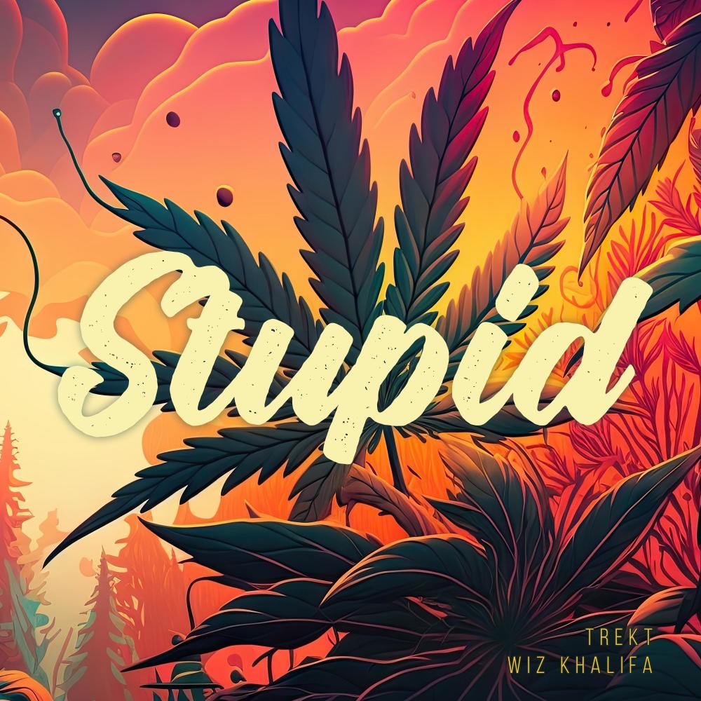 Stupid (feat. Wiz Khalifa) (Explicit)