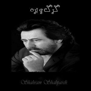 Listen to گرگ و بره (Live Performance) song with lyrics from Shahram Shabpareh