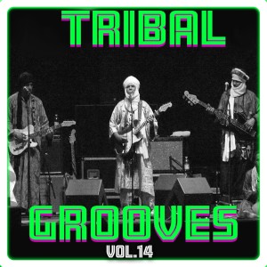 Album Tribal Grooves Vol. 14 oleh 'Umar Abdul ''Aziz Fadar Bege'