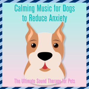 Album Calming Music for Dogs to Reduce Anxiety : The Ultimate Sound Therapy for Pets from Relaxmydog