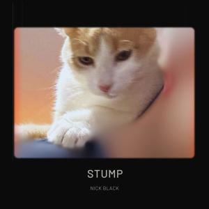 Nick Black的專輯Stump (Explicit)