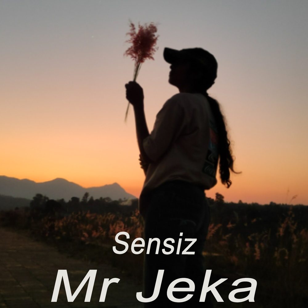 Sensiz