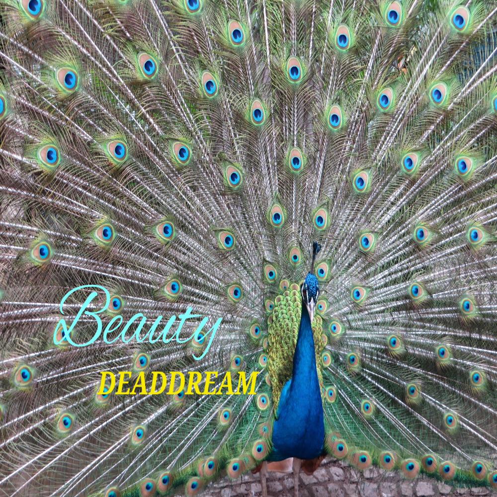 Beauty