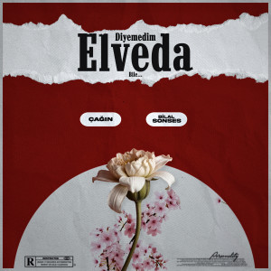 Album Diyemedim Elveda from Bilal Sonses