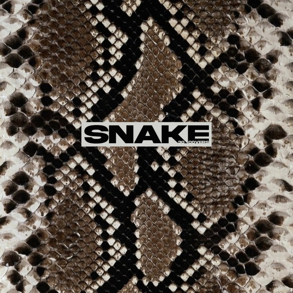 Snake (뱀) (中文填词版) (完整版)