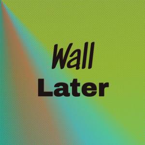 อัลบัม Wall Later ศิลปิน Various