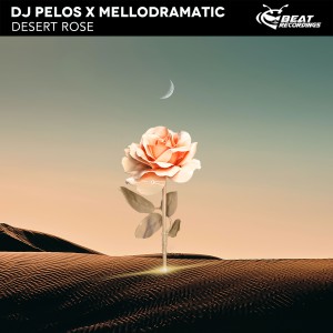 DJ Pelos的專輯Desert Rose