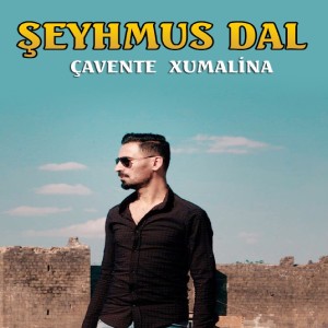 收聽Şeyhmus Dal的Çavente Xumalina歌詞歌曲