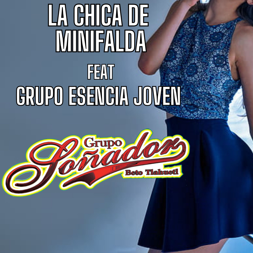 La Chica De Minifalda