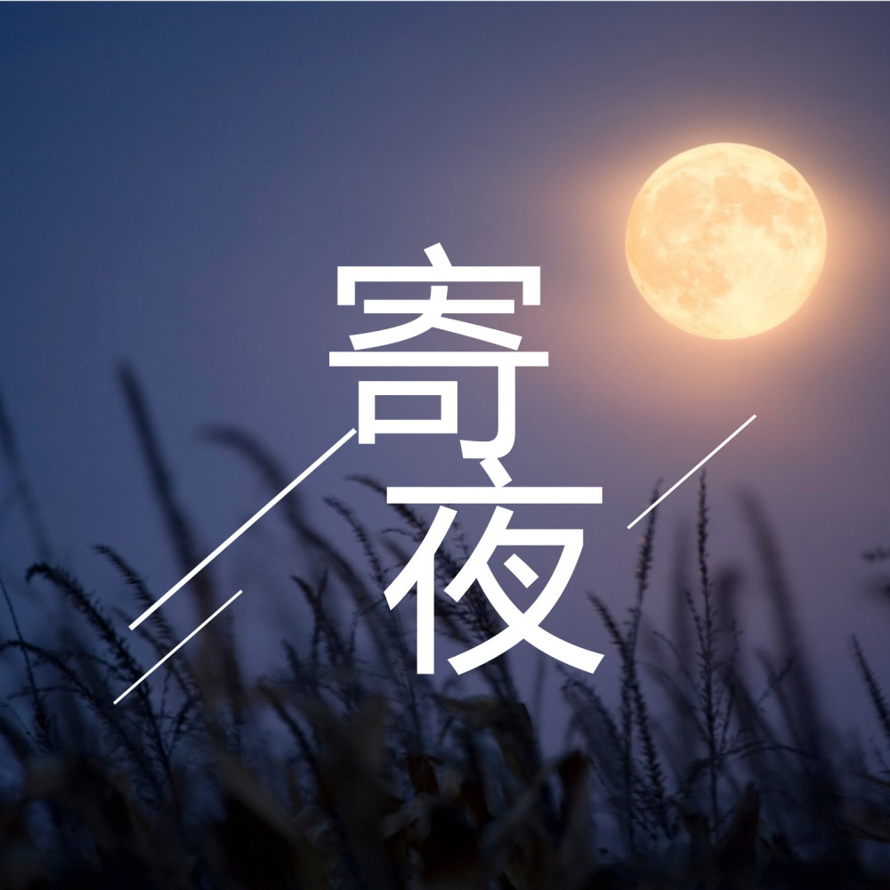 寄夜