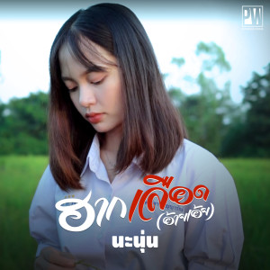 อัลบัม ฮากเลือด(อ้ายเอ้ย)  - Single ศิลปิน นะนุ่น ชลธิชา