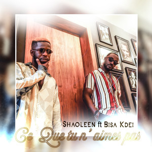 Listen to Ce que tu n'aimes pas song with lyrics from Shaoleen