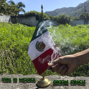 Listen to This Is México (Explicit) song with lyrics from GR33N CR4CK