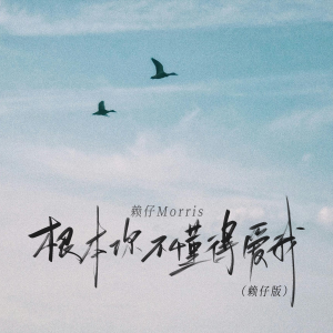 Album 根本你不懂得爱我 (赖仔版) oleh 赖仔Morris