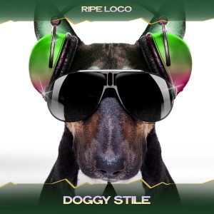 Listen to Doggy Stile (Magic J Mix, 24 Bit Remastered) song with lyrics from Ripe Loco