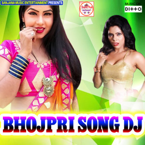 收聽Rupa Raj的Gali Gali Hero Bane歌詞歌曲