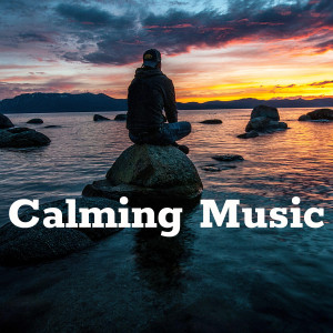 ดาวน์โหลดและฟังเพลง Beethoven Classical พร้อมเนื้อเพลงจาก soothing