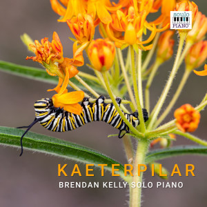 收聽Brendan Kelly的Kaetepilar歌詞歌曲