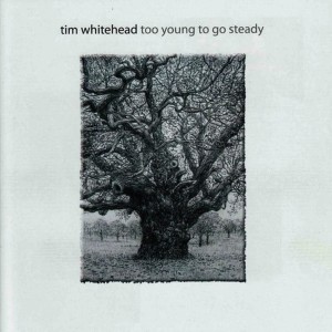 ดาวน์โหลดและฟังเพลง Love Fool พร้อมเนื้อเพลงจาก Tim Whitehead
