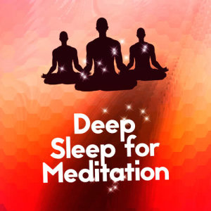 Deep Sleep Meditation的專輯Deep Sleep for Meditation