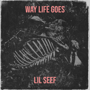Album Way Life Goes (Explicit) from LIL SEEF