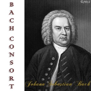 ดาวน์โหลดและฟังเพลง English Suite No. 2 in a Minor, Bwv 807 Allmande พร้อมเนื้อเพลงจาก Bach Consort