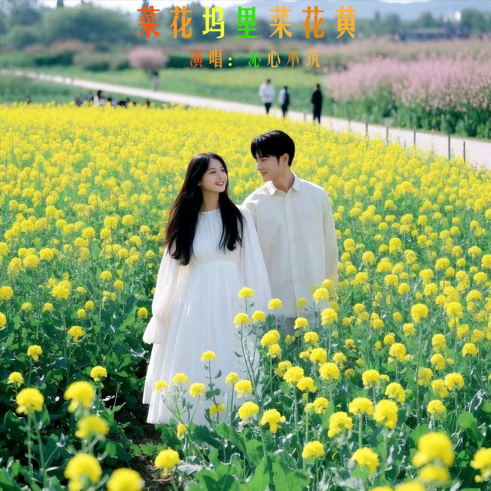 菜花坞里菜花黄-中四步舞曲 (Remix)