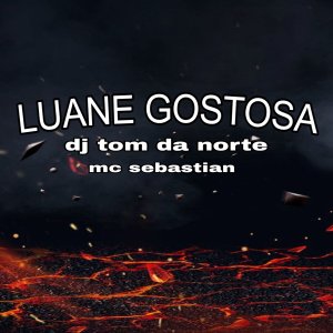 收听DJ TOM DA NORTE的Luane Gostosa歌词歌曲