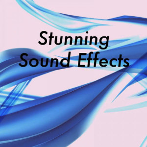 收聽Stunning Sound Effects的Baby Babies Infants Toddlers Crying Cry Screaming Whining Sobbing Voices Voice Human Sound Effects Sfx FX Human Babies歌詞歌曲