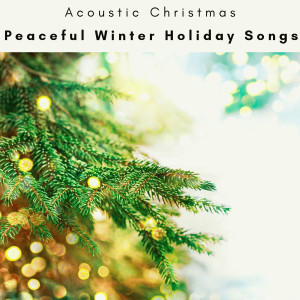 Album 2023 Peaceful Winter Holiday Songs oleh Acoustic Christmas