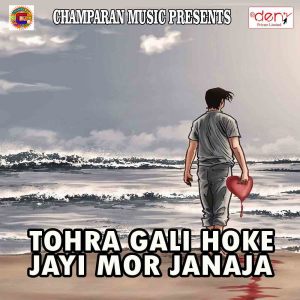 Listen to Devare Ke Saiya Bana Li Ka Raja Ji song with lyrics from Satyendra Sajan