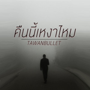 Album คืนนี้เหงาไหม from TAWANBULLET