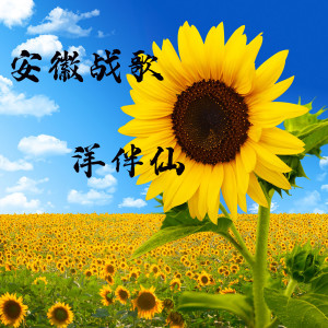 Album 安徽战歌 from 洋菟