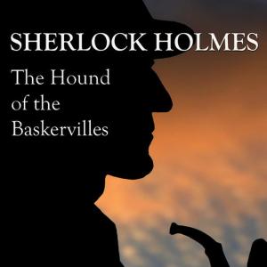 收聽Linda Jane的Mr Sherlock Holmes歌詞歌曲