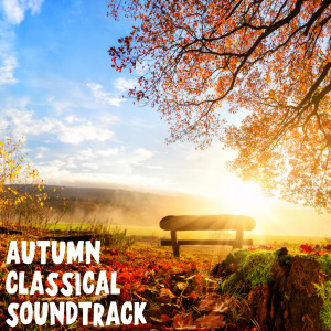 ดาวน์โหลดและฟังเพลง 1. Moderato พร้อมเนื้อเพลงจาก Valentina Lisitsa