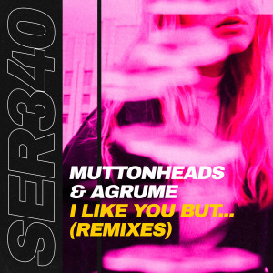 ดาวน์โหลดและฟังเพลง I Like You But... (Smiley Serious Remix) พร้อมเนื้อเพลงจาก Muttonheads
