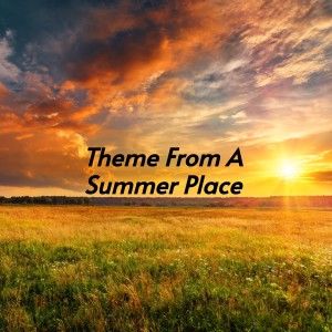 Dengarkan lagu Theme from a Summer Place nyanyian Vera Lynn dengan lirik