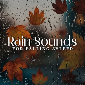 อัลบัม Rain Sounds for Falling Asleep, Meditation and Wellness ศิลปิน Raindrops Healing Music Universe