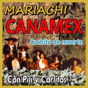 收聽Mariachi Canamex的Dos Corazones歌詞歌曲