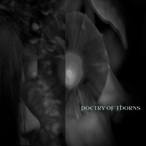 收聽Poetry Of Thorns的The Liquid Mirror歌詞歌曲